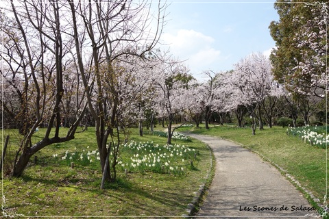 大阪のSt.James\'s Park　～山田池公園～_a0177453_14551130.jpg
