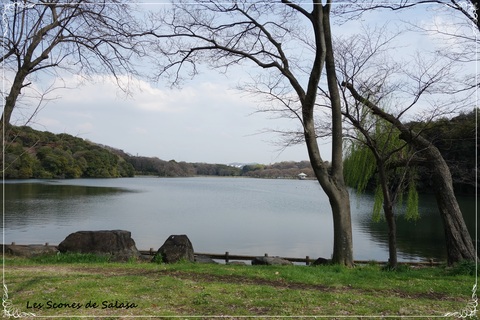 大阪のSt.James\'s Park　～山田池公園～_a0177453_1501119.jpg