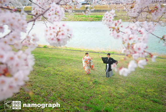 桜のころ_a0165860_20325693.jpg