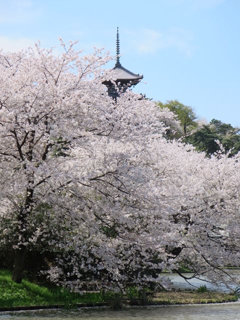c0042960_1644828.jpg