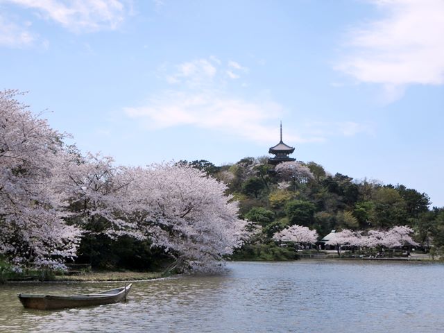 c0042960_1651340.jpg