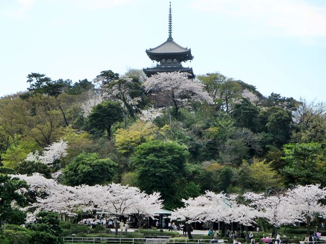 c0042960_1652012.jpg