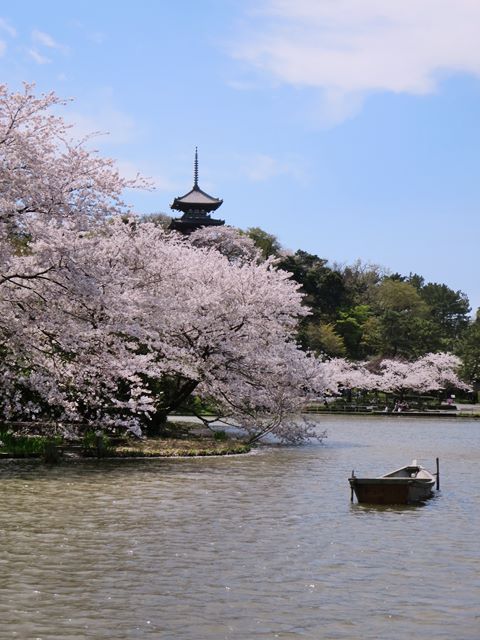 c0042960_165738.jpg