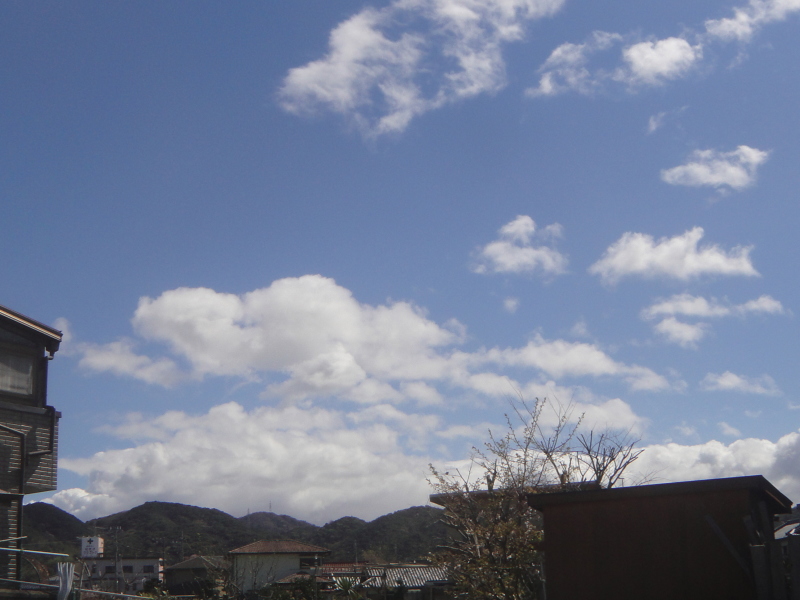 c0108460_23500345.jpg