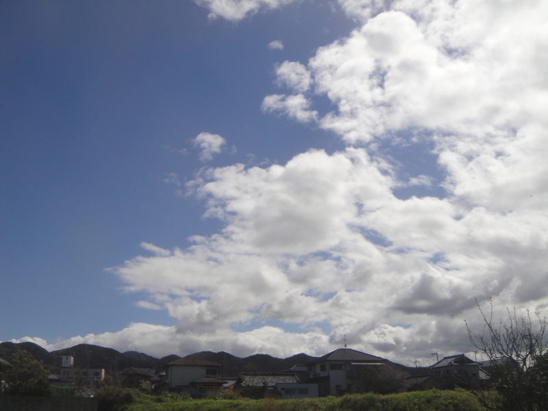 c0108460_23500595.jpg