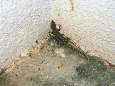 c0180460_0594325.jpg