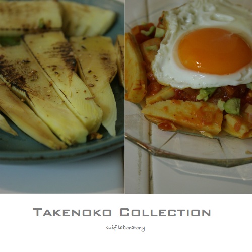 タケノココレクション_c0156468_2023198.jpg