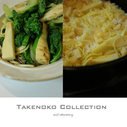タケノココレクション_c0156468_20343090.jpg