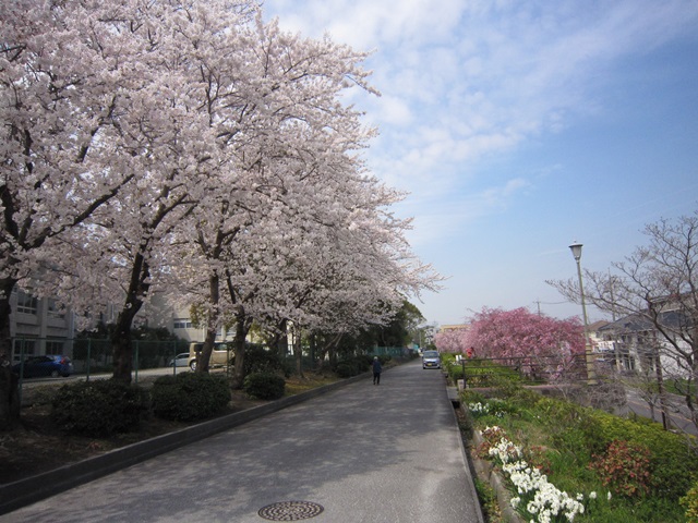 f0100871_17461833.jpg