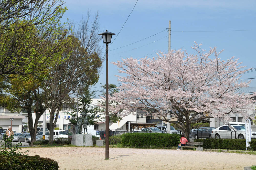 春爛漫 太宰府の桜 2014_f0306071_150023.jpg