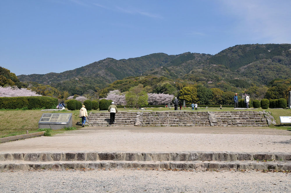 春爛漫 太宰府の桜 2014_f0306071_1594029.jpg