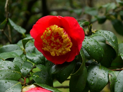 a0219573_856416.jpg