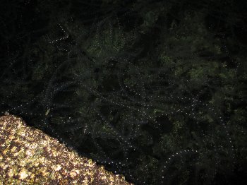 f0003283_06204996.jpg