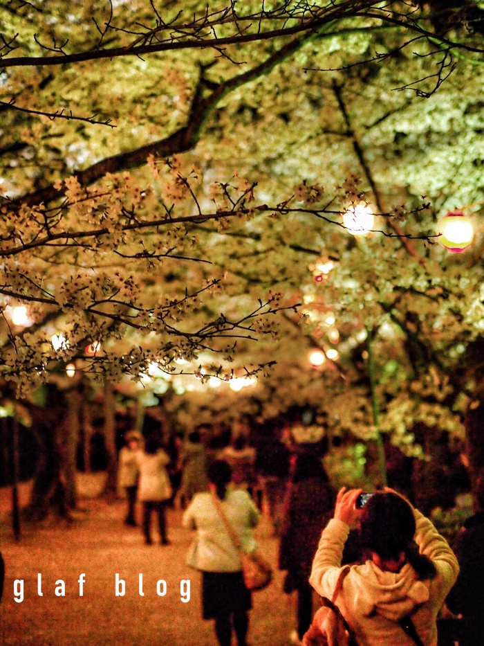 夜桜_b0056790_4213688.jpg