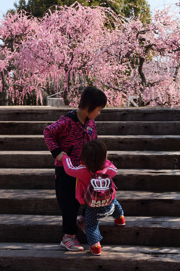 2014.03.16：久しぶりの「なばなの里」で花散策３_c0007190_1944615.jpg