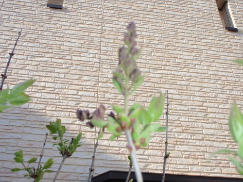 d0318191_22240634.jpg