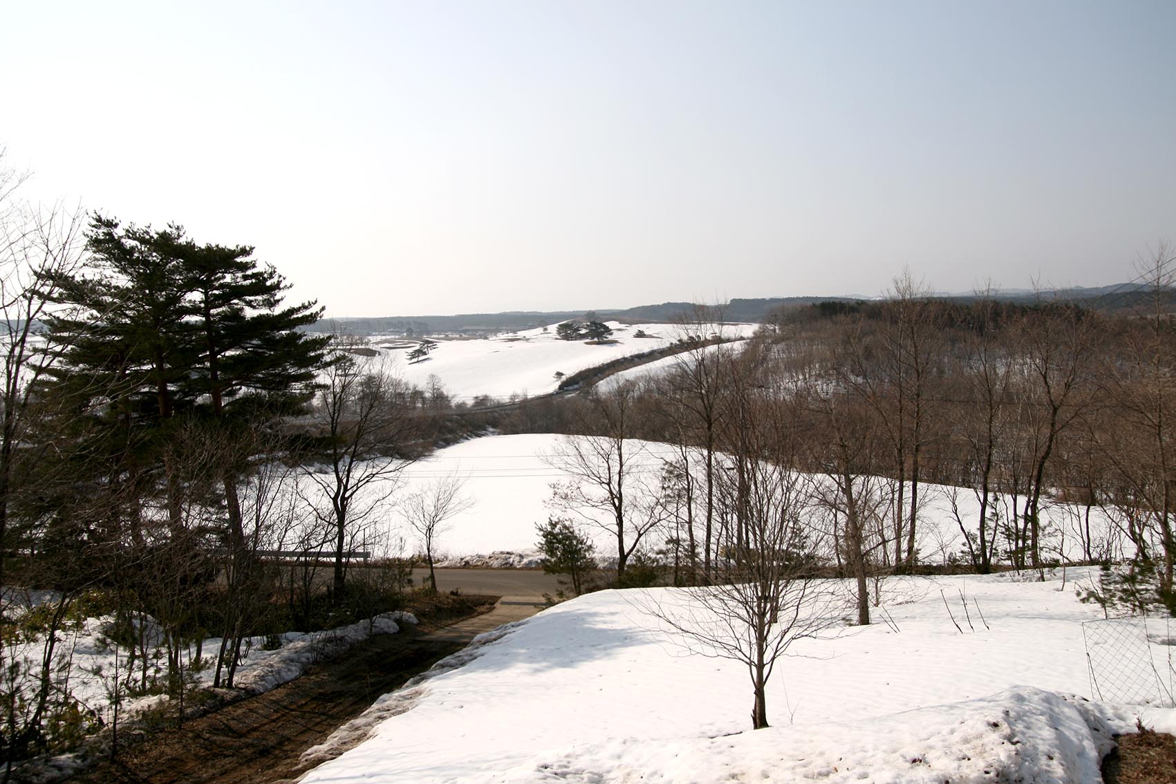 c0004193_1424861.jpg