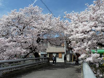 b0051598_2213949.jpg