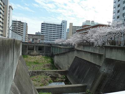b0051598_22172236.jpg