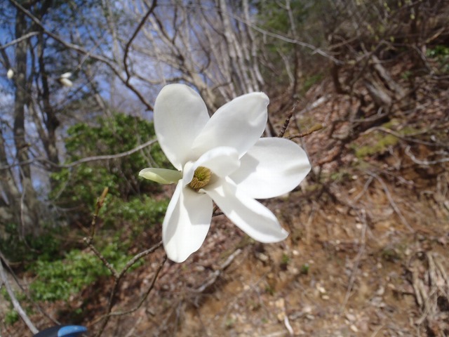 蛇谷ヶ峰ワンデーハイク(本編)_c0147398_18122179.jpg