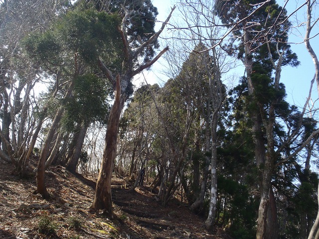 蛇谷ヶ峰ワンデーハイク(本編)_c0147398_187059.jpg
