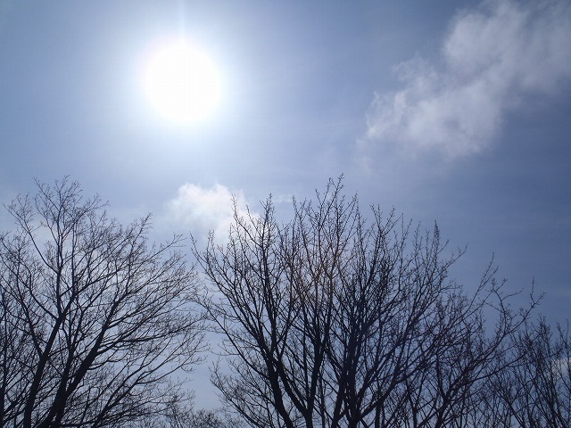 蛇谷ヶ峰ワンデーハイク(本編)_c0147398_1875682.jpg