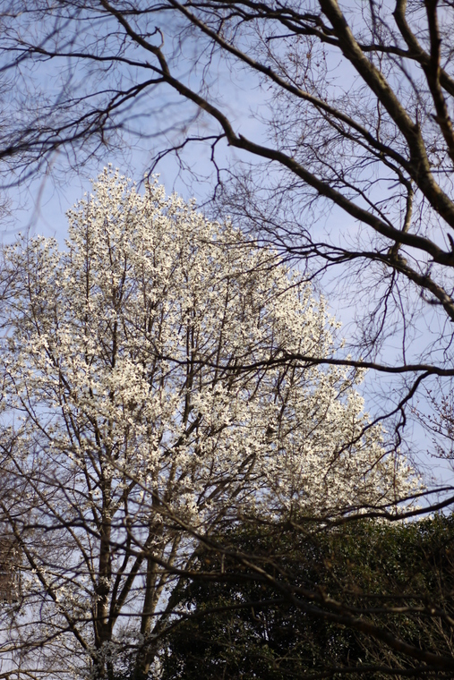 d0248502_0474259.jpg