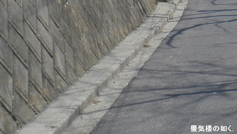 e0304702_722147.jpg