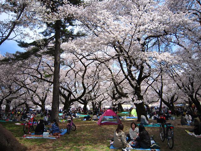 a0141408_17382873.jpg