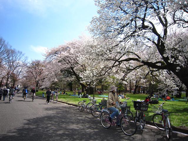 a0141408_173836100.jpg