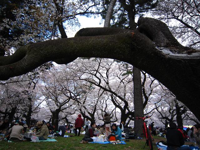 a0141408_17391898.jpg