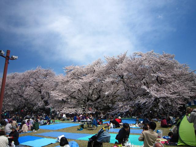 a0141408_17392627.jpg