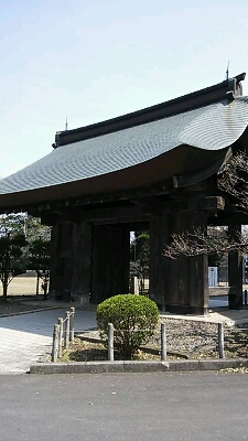 a0048609_1640555.jpg