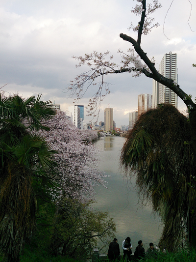 市ヶ谷の桜_d0113613_2202158.jpg