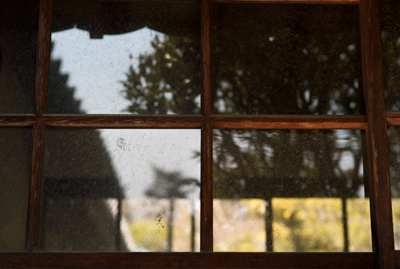 f0251613_1491668.gif