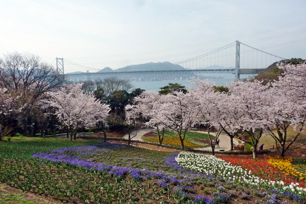 桜色は煌いて・・・・・関門橋_d0025414_1224018.jpg