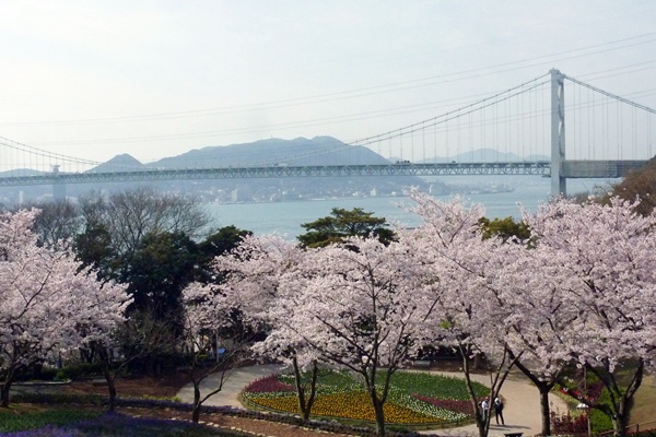 桜色は煌いて・・・・・関門橋_d0025414_1231529.jpg