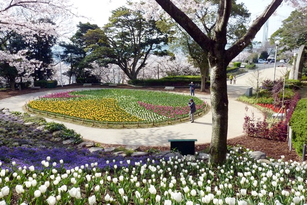 桜色は煌いて・・・・・関門橋_d0025414_1233420.jpg