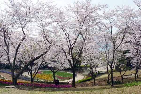 桜色は煌いて・・・・・関門橋_d0025414_128446.jpg