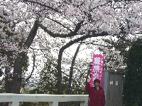 c0133422_23255749.jpg