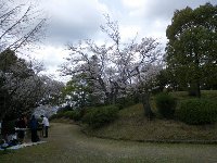 c0133422_2335729.jpg