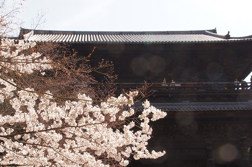 桜　～南禅寺（京都）～_c0235725_21474077.jpg