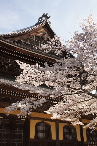 桜　～南禅寺（京都）～_c0235725_22101881.jpg