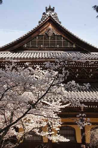 桜　～南禅寺（京都）～_c0235725_2292428.jpg