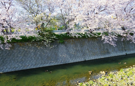 f0213825_962362.jpg