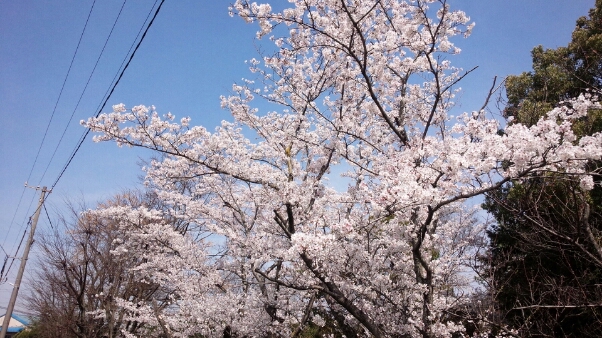 c0173826_19423085.jpg