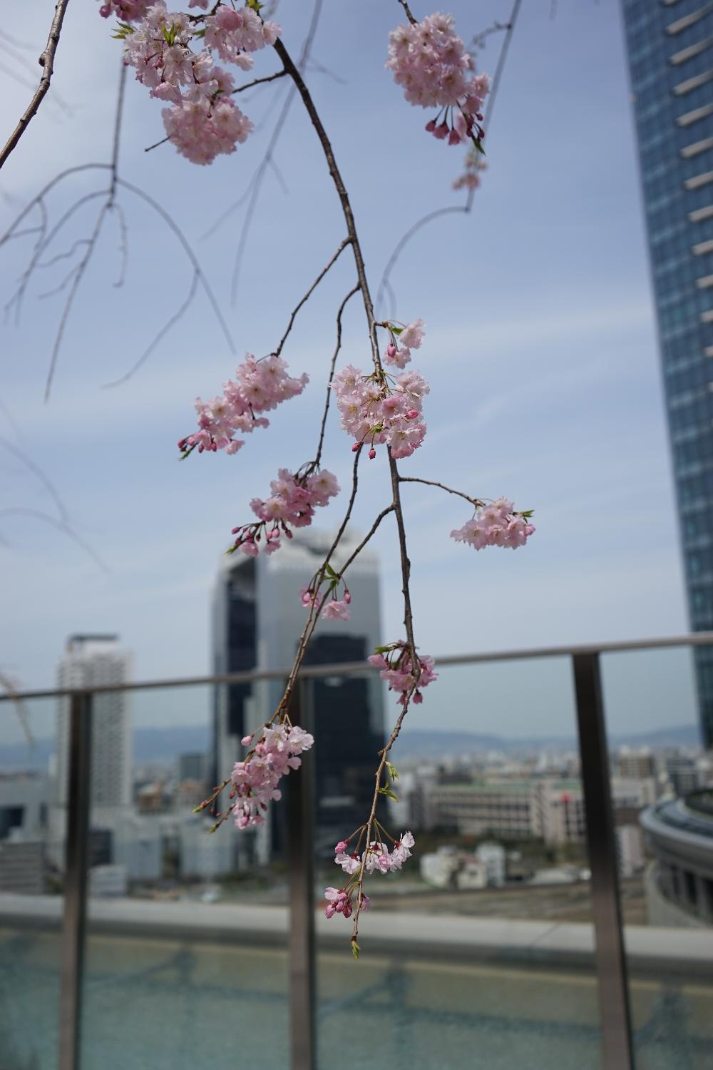 b0069128_827550.jpg