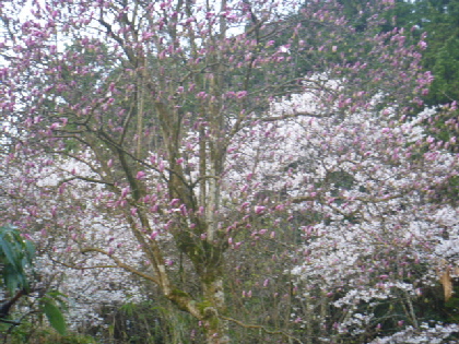 b0246036_9445495.jpg