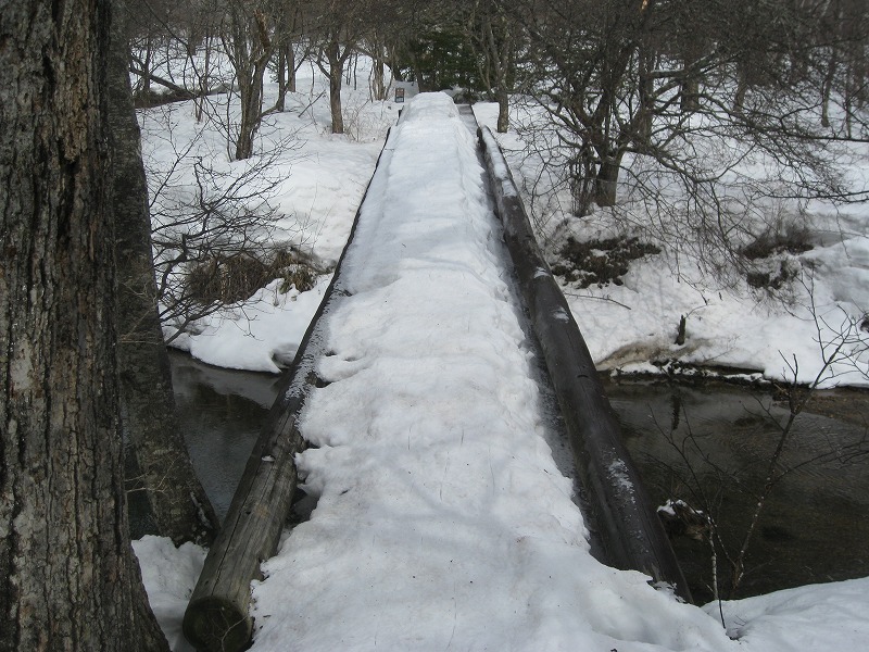 c0090236_13363682.jpg