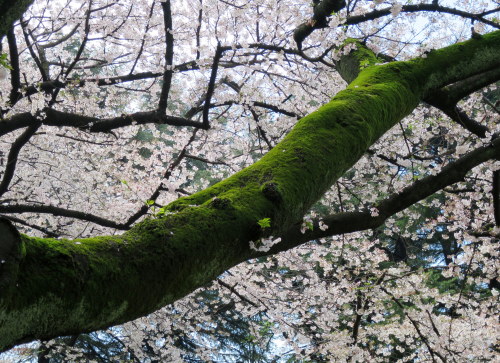 b0178339_19100273.jpg